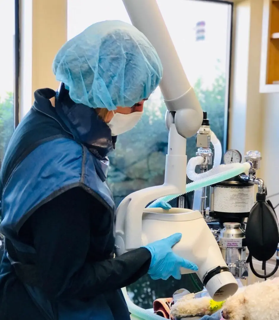 A person in blue gloves and a mask is cleaning.