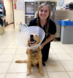A woman and her dog wearing a cone of shame.
