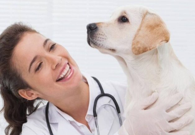 A woman in white shirt with dog and stethoscope.