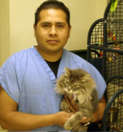 A man holding a cat in his arms.