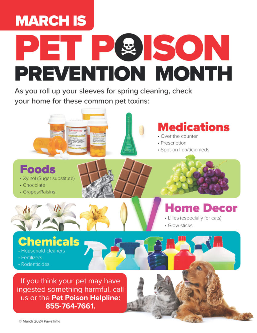 March_Is_Pet_Poison_Prevention_Month_3_2024