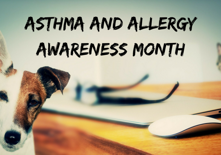 Asthma and allergy awareness banner